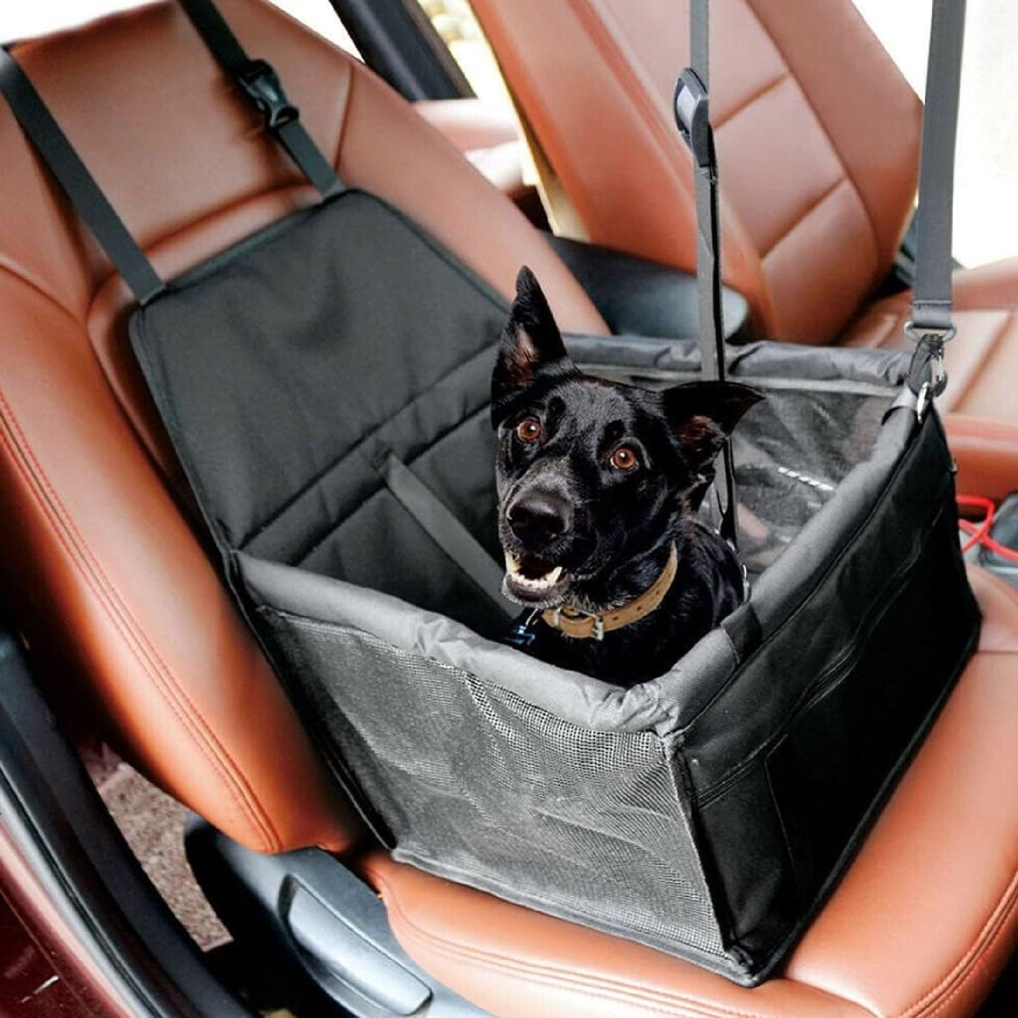 Asiento Transportador Perros Para Carro